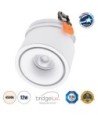 GLOBOSTAR® OMEGA-R 60294 Χωνευτό Κινούμενο Downlight Σποτ LED 12W 1560lm 36° AC 220-240V IP20 Φυσικό Λευκό 4500K - Bridgelux COB Chip & TÜV SÜD Driver - Λευκό Ματ - Μ10 x Π10 x Υ8.2cm - Q9cm - 5 Χρόνια Εγγύηση